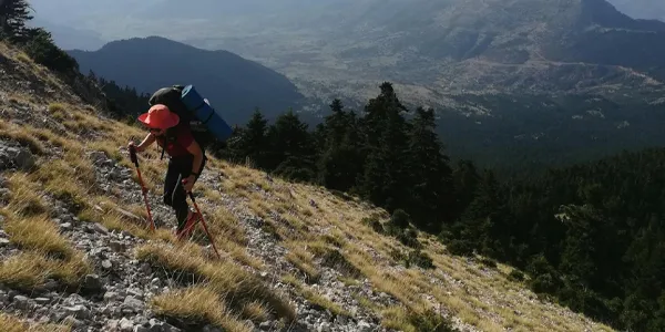Forjado con katana, a prueba del futuro, un legado eterno.